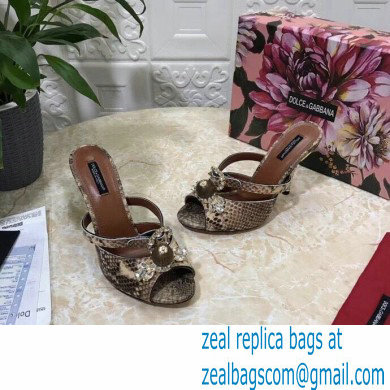 Dolce  &  Gabbana Crystal Heel 10.5cm Python Mules Camel 2021